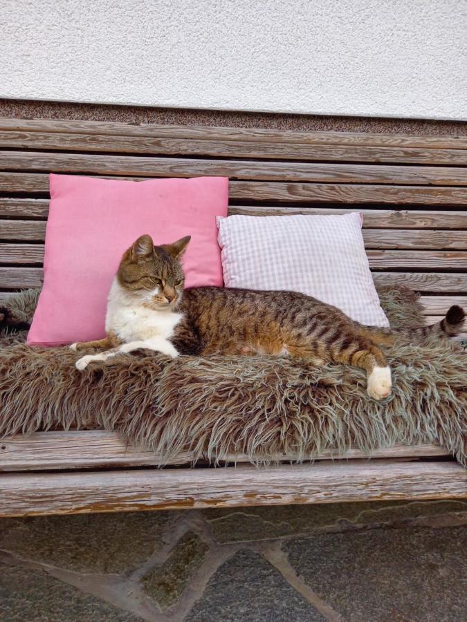 フラッハウ Schartlhofヴィラ エクステリア 写真